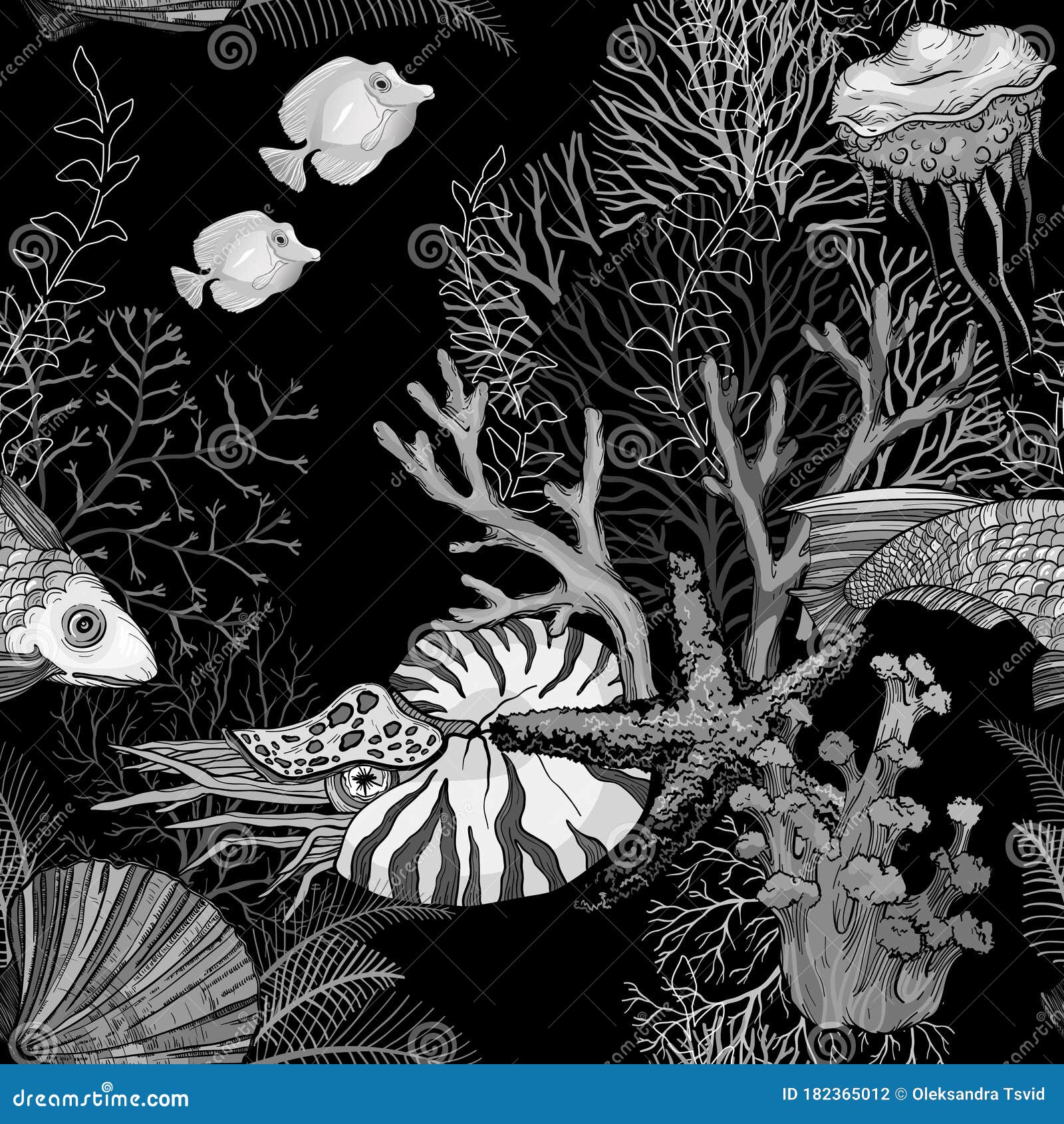 “寻”海洋生物系列插画|插画|创作习作|GG丶BondZ - 原创作品 - 站酷 (ZCOOL)