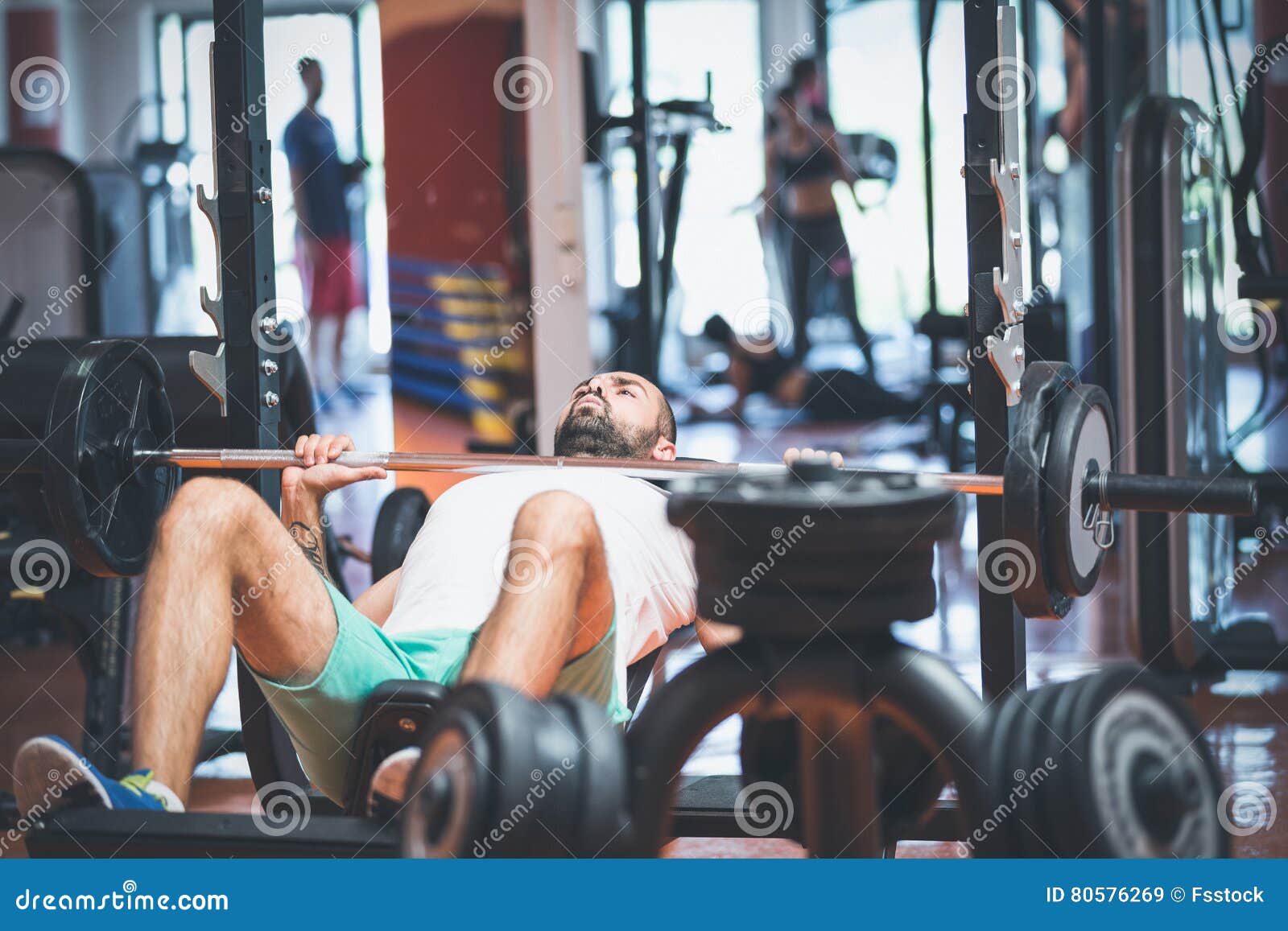 Provironum � ������ �������-����������: ����.