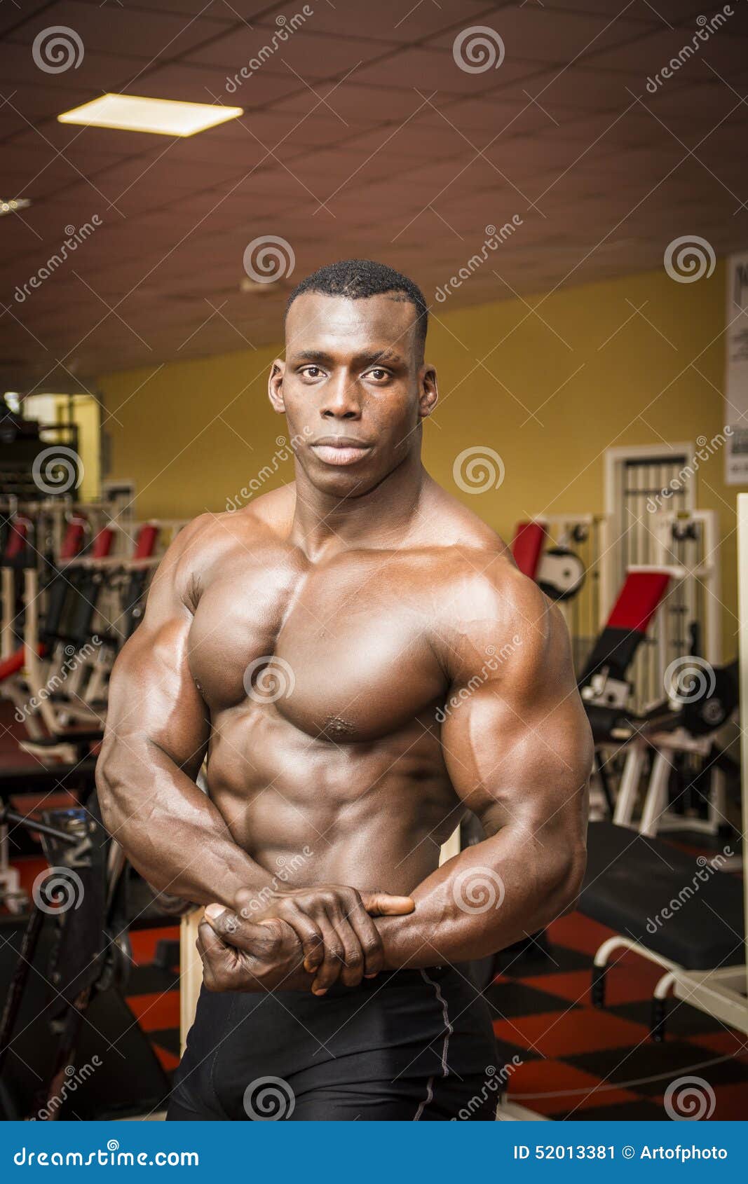 ��������� British Dragon ��������: ����.