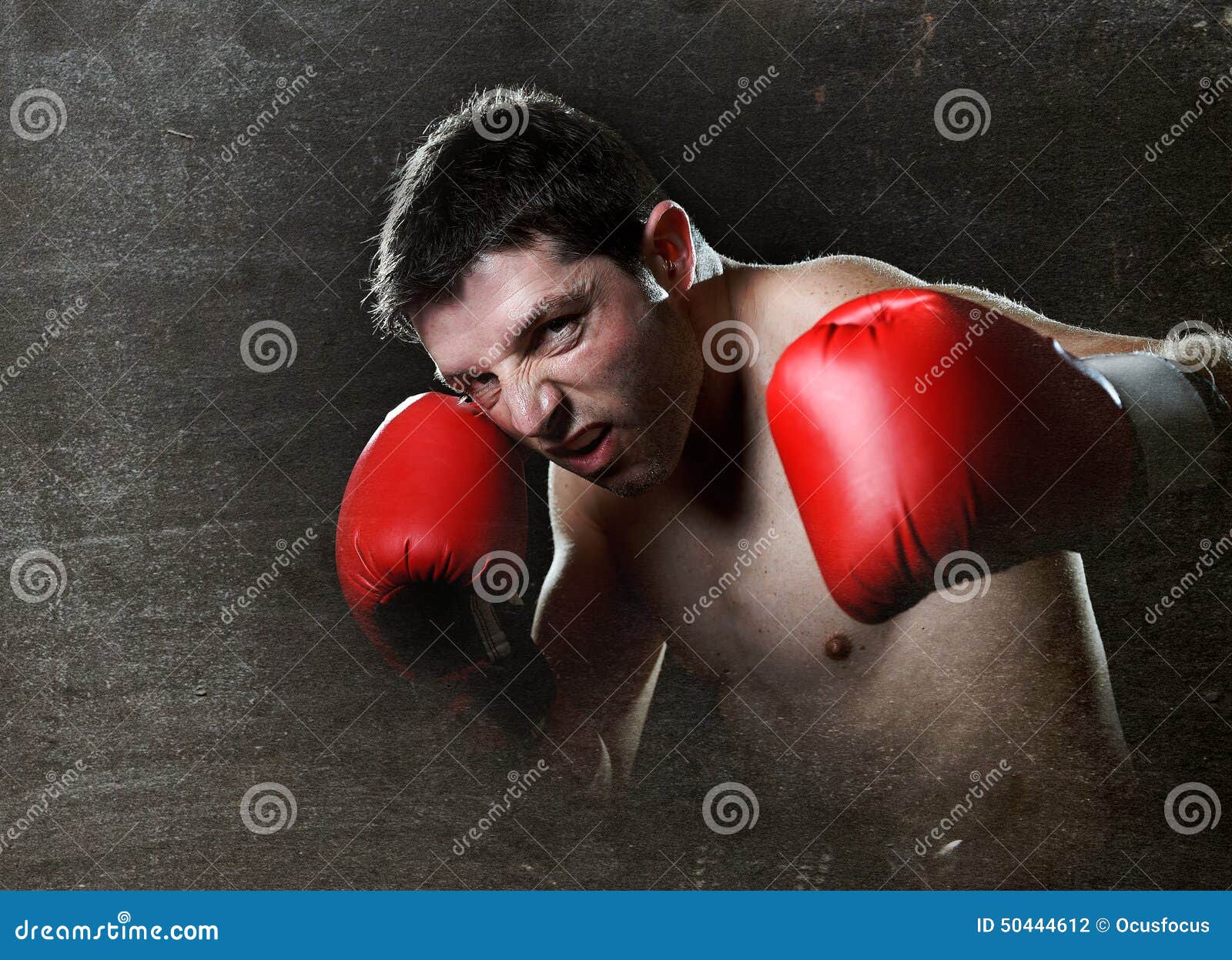 Cuts 2 Gold ������������: ����.