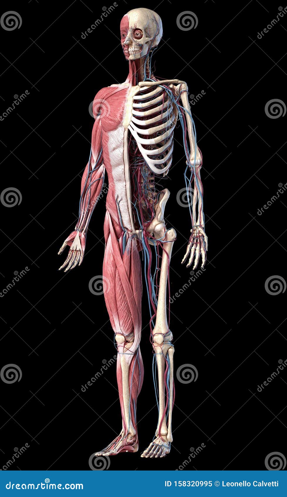 ����� ZPHC ������: ����.